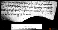 Pedro del Caso vende a Cipriano de Montearagón una viña en Montearagón, por 17 sueldos jaqueses