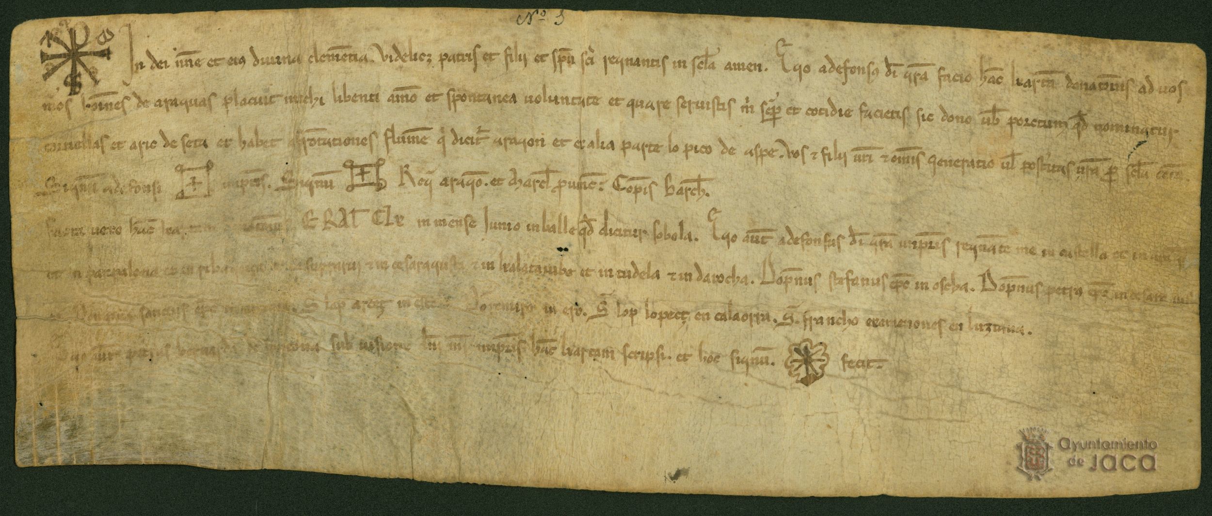 Alfonso I, rey de Aragón, dona al lugar de Araguás del Solano, el puerto de Tortiellas