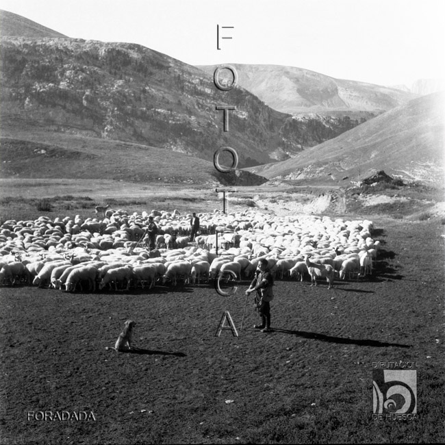 Pastores con rebaño. Alfonso Foradada Coll. Valle de Ansó