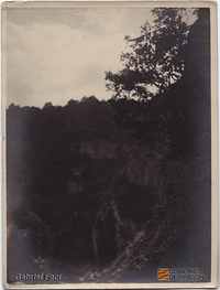Paisaje de montaña, con árbol en primer plano. Gabriel Faci Abad