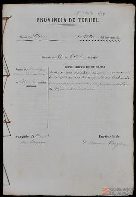 miniatura documento adjunto