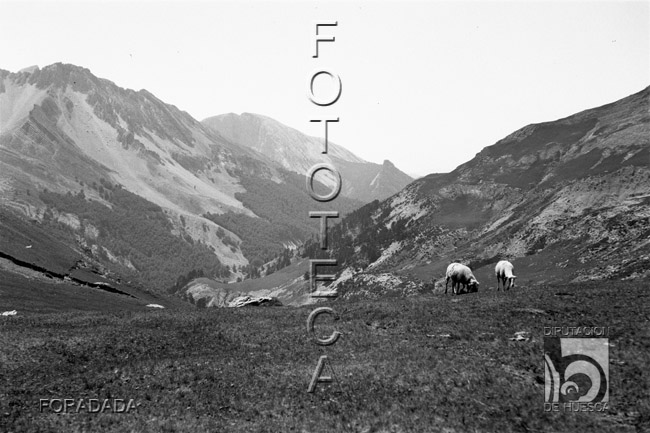 Vista de un valle. Alfonso Foradada Coll. Valle de Ansó