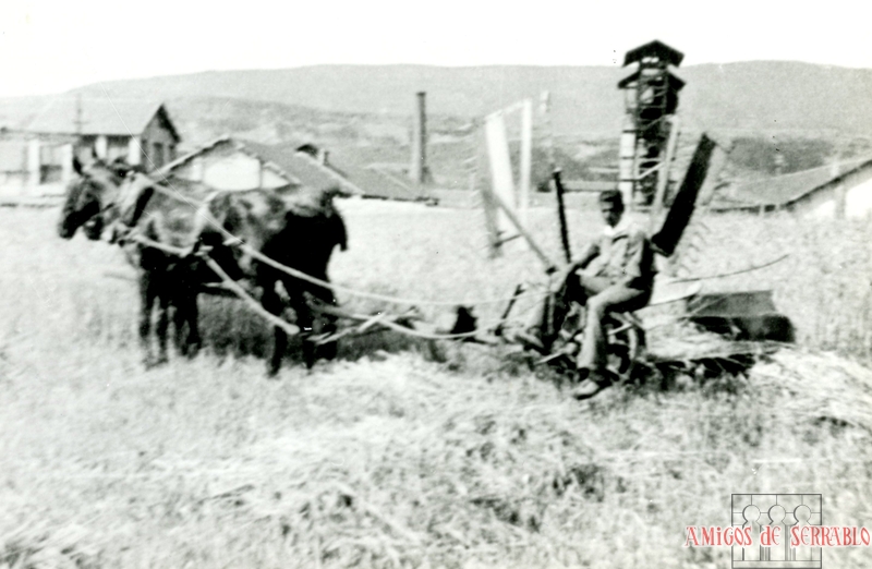 Claudio Biescas segando en Aurín