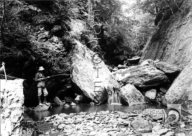 "Oza. Barranco de Espata". Ricardo Compairé Escartín. Hecho