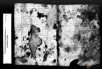 Bifolio de códice que contiene el fragmento de una homilía del papa Gregorio I.