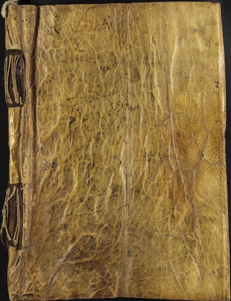 miniatura documento adjunto