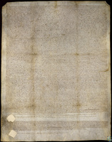 El concejo de Mequinenza, reunido en la plaza de La Cort de la villa y con la autorización de Joan de Montcada, señor de la misma, vende a Francisco Soler, canónigo de Lérida, un censal anual de 12 libras y 12 sueldos de moneda de curso en Lérida por precio de 212 libras de oro.