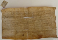 Testamento de Guillermo Albano, rector de la iglesia de Peralta de la Sal, en el que se hacen diversos legados a favor de los presbíteros de dicho pueblo, incluyendo un censal de 300 sueldos anuales sobre el condado de Ribagorza y otro de 80 sueldos sobre el concejo de Calasanz