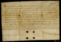 Real privilegio del rey Jaime I concediendo al Concejo de Teruel que tenga a perpetuidad una palada de grano por cada fanega que en el mercado se venda
