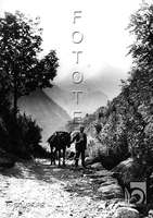"Camino del valle de Estós y Cregüeña al fondo". Ricardo Compairé Escartín. Benasque
