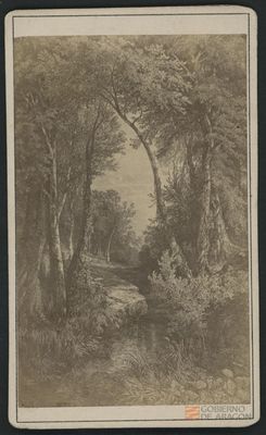 Paisaje