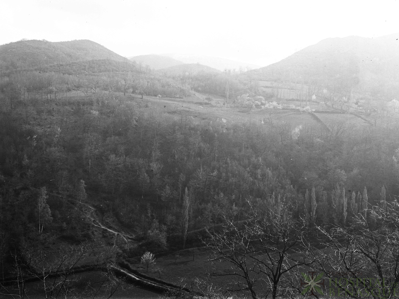 Paisaje rural en los Pirineos