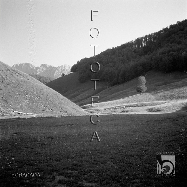 Pradera. Alfonso Foradada Coll. Valle de Ansó