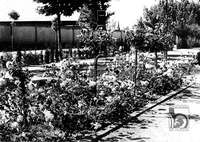 "Jardines del paseo de la estación" (2). Ricardo Compairé Escartín. Huesca