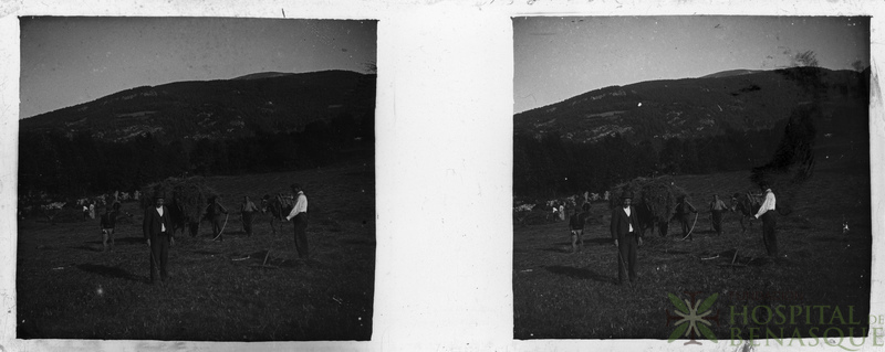 Faenas agrícolas en Benasque