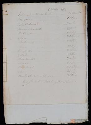 miniatura documento adjunto