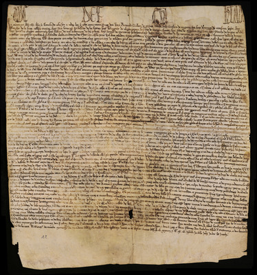 miniatura documento adjunto