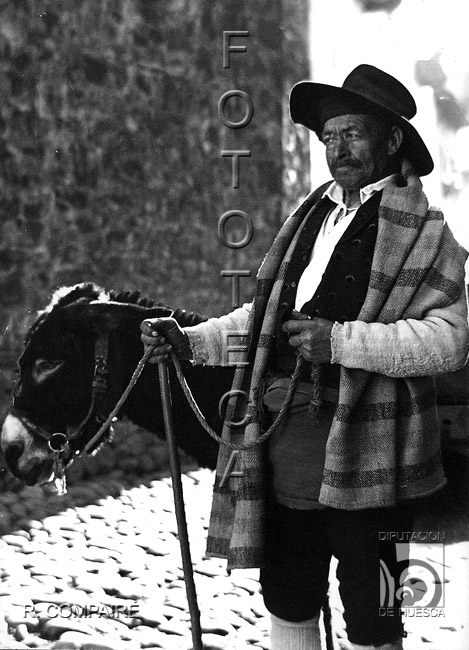 "Compañeros de fatigas". Ricardo Compairé Escartín. Hecho