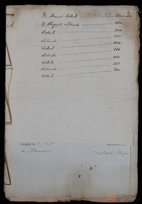 miniatura documento adjunto