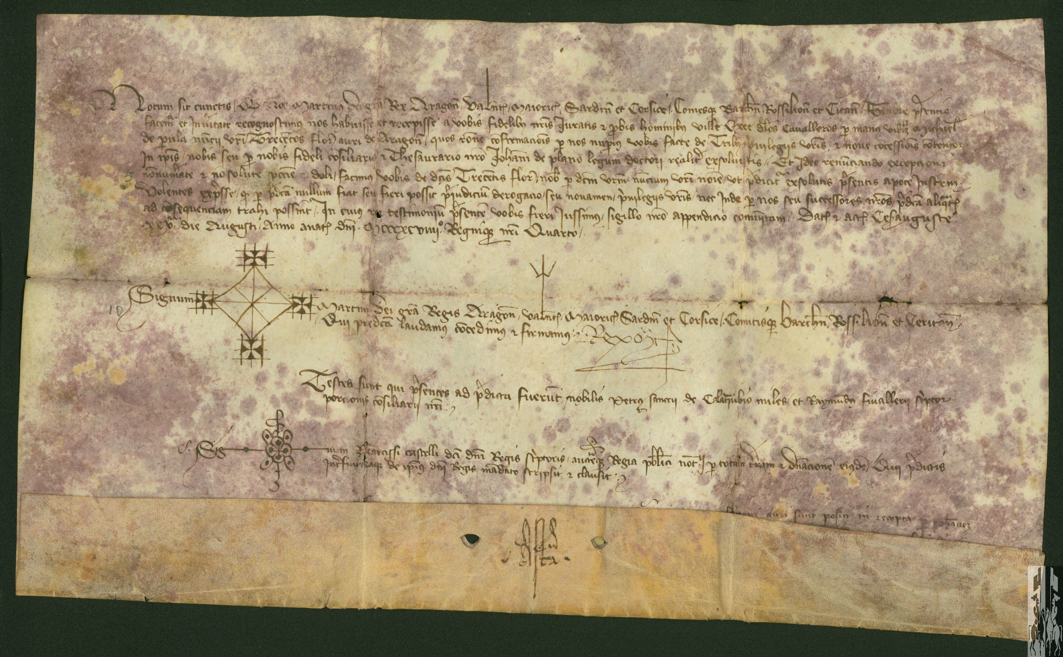 Carta de pago otorgada por Martín I, rey de Aragón, en favor de la villa de Ejea, por habr reconocido los privilegios de dicha villa.