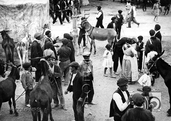 "Las Ferias en la plaza". Ricardo Compairé Escartín. Ayerbe