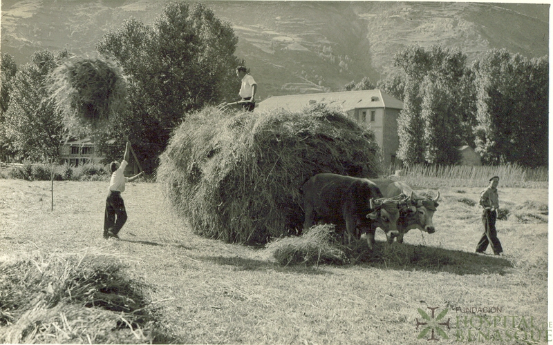 Tres hombres cargando paja en un carro tirado por dos bueyes, en Benasque