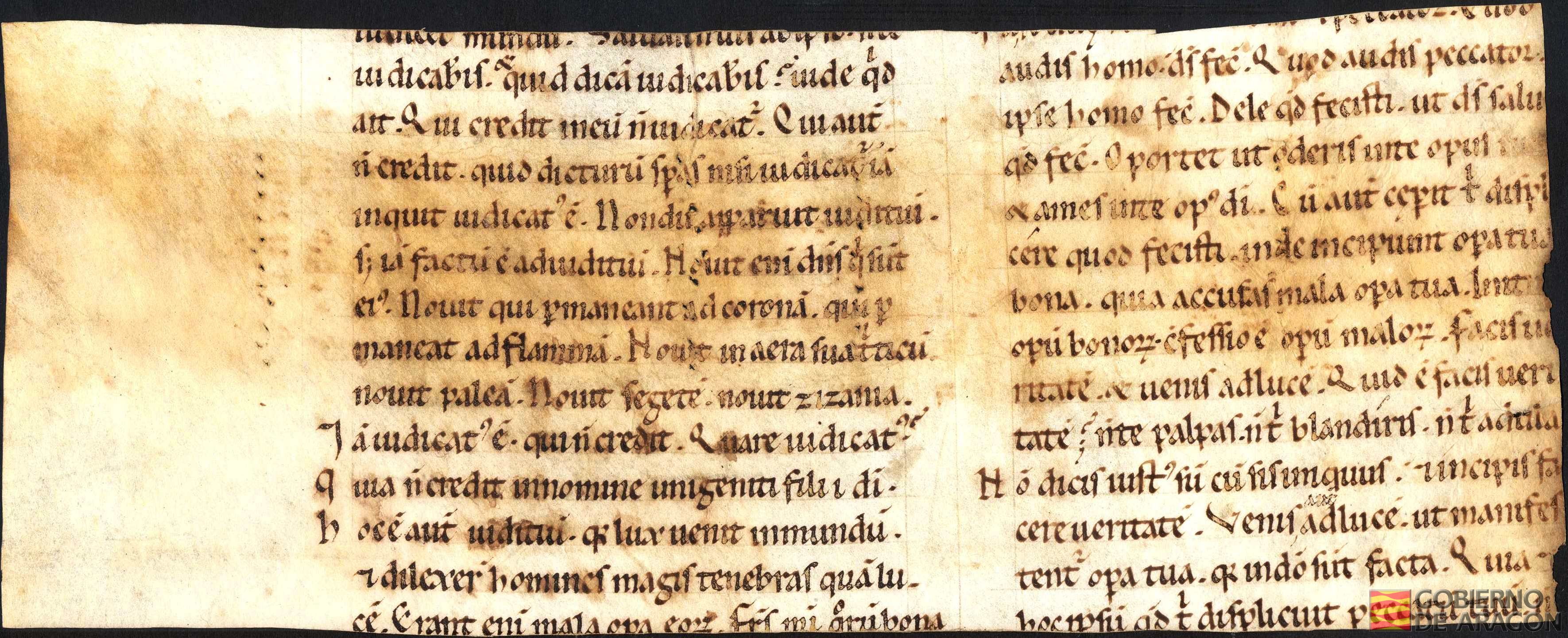 Fragmento de los Comentarios al Evangelio de San Juan de Agustín de Hipona