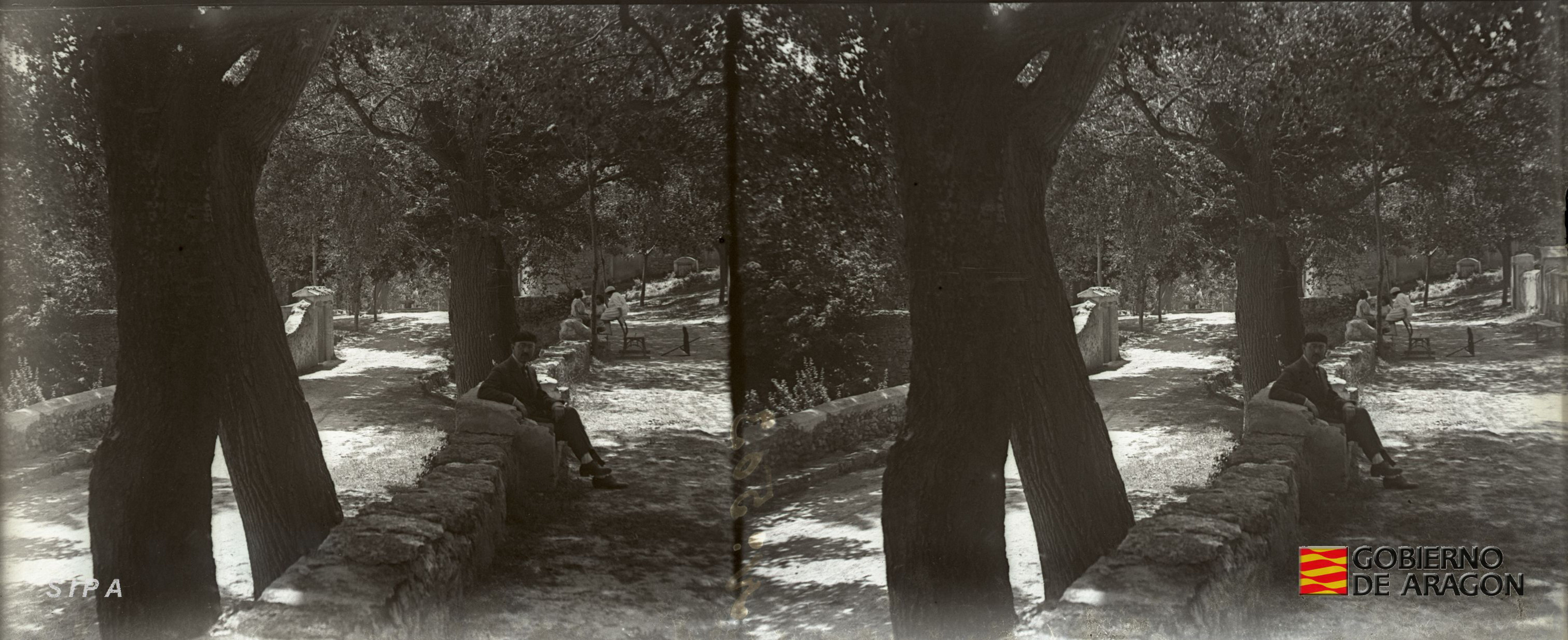 Borja. Santuario de la Misericordia. Julio Ariño en la fronda