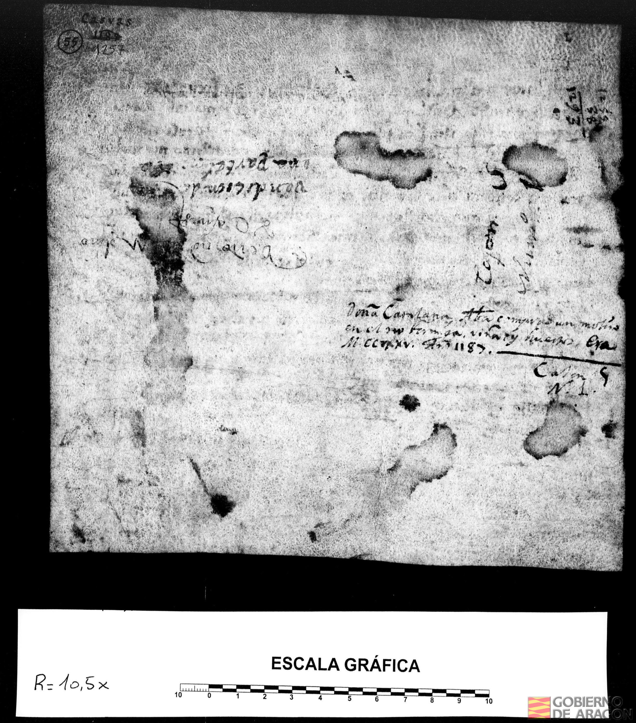 Un grupo de hombres y mujeres venden a Catalana, abadesa de Casbas, un molino sobre el río Formiga, con todos sus equipamientos y derechos, y una viña junto al mismo, dentro del término de Casbas, por precio de 430 sueldos jaqueses.