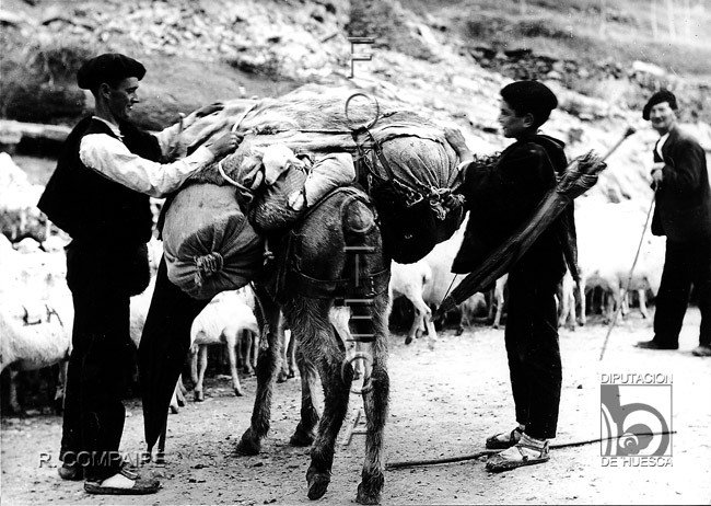 "Ultimando la carga. Pastores". Ricardo Compairé Escartín. Arguis
