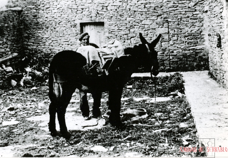 Santiago Casaús con un mulo en Gésera