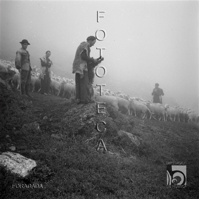 Pastores con rebaño. Alfonso Foradada Coll. Valle de Ansó