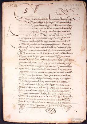 miniatura documento adjunto