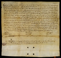 Constituciones dictadas por el Concejo de Teruel sobre los litigios que se originan entre nobles, caballeros, escuderos y señores, contra vecinos de Teruel y Comunidad