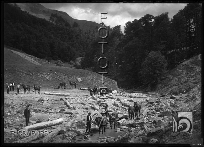 "Arrastre de madera por el río con mulos". Ricardo Compairé Escartín. Valle de Zuriza