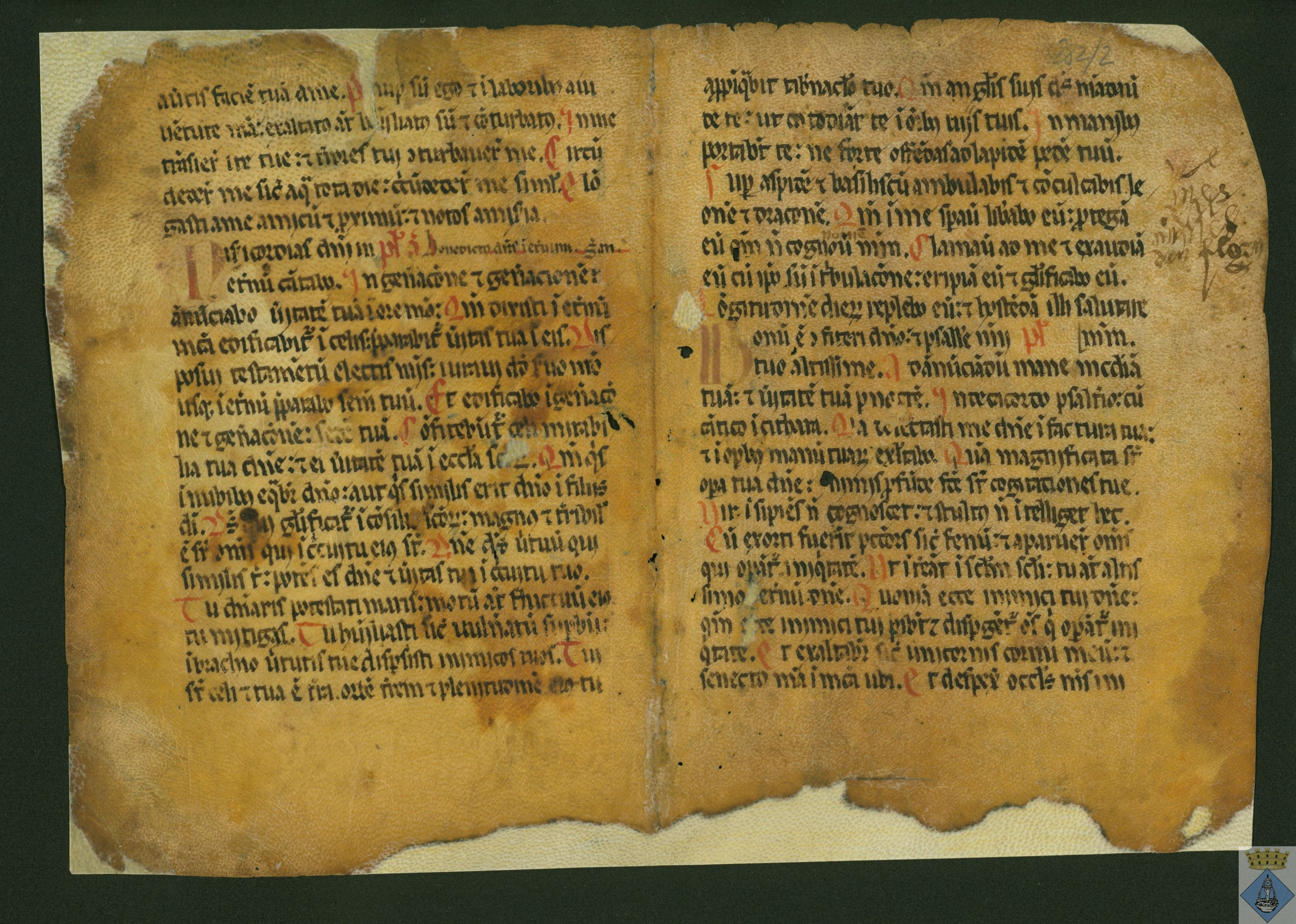 Bifolio perteneciente a una Biblia.