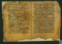 Bifolio perteneciente a una Biblia