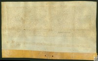 Declaración hecha por el vicario general, Pedro Romi, de Zaragoza, sobre que los vecinos de Fuentespalda que trabajan tierras de los términos de Valderrobres deben pagar la primicia en Fuentespalda