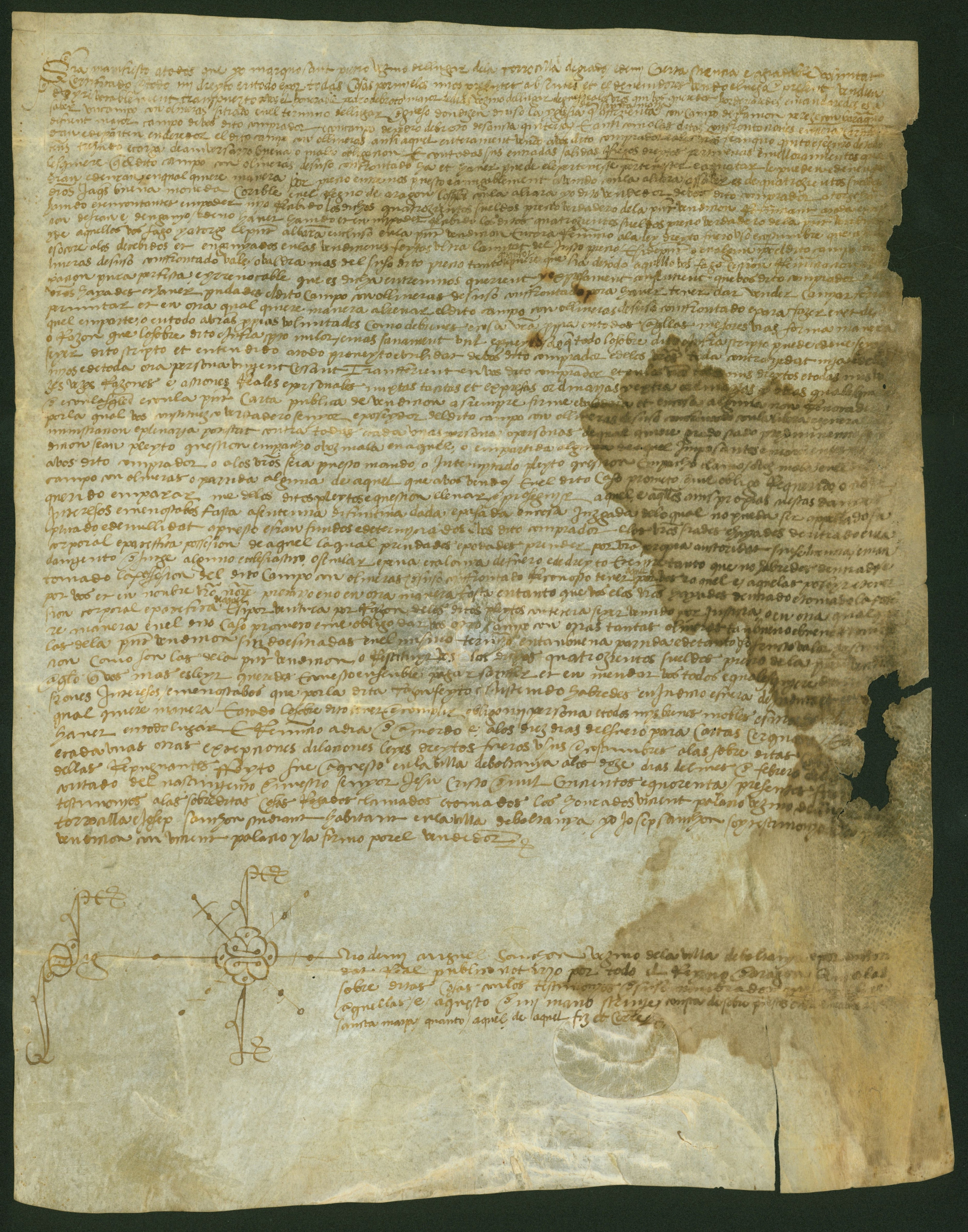 Sant Pietro, vecino del lugar de la Torrecilla de Grado, vende a Pedro de Broto, vecino del lugar de Guaso, un campo con oliveras, situado en el término de dicho lugar. Boltaña