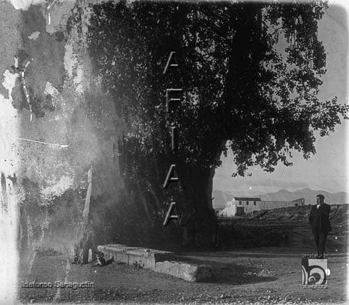 Alrededores de la ciudad. Paseo de La Alameda. Ildefonso San Agustín. Huesca