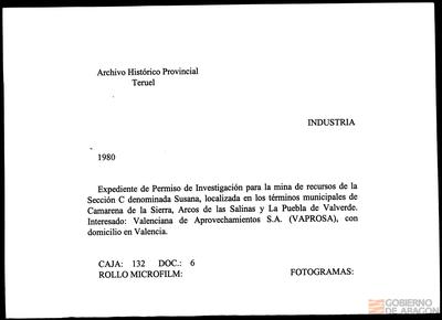 miniatura documento adjunto