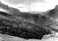 "Oza. Bosque desde las colladetas". Ricardo Compairé Escartín. Selva de Oza