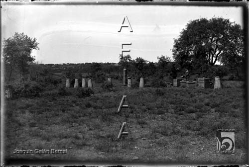 Colmenas. Joaquín Galán Bernal