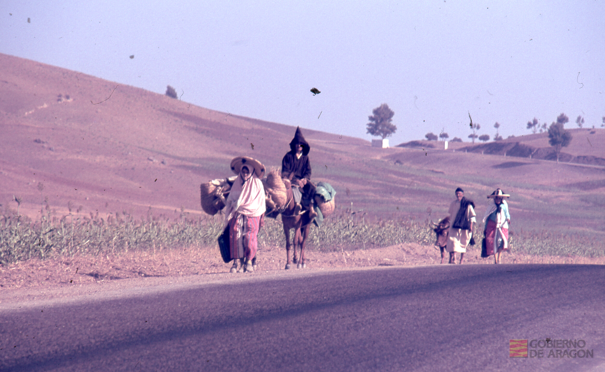 "Marruecos. 1983"