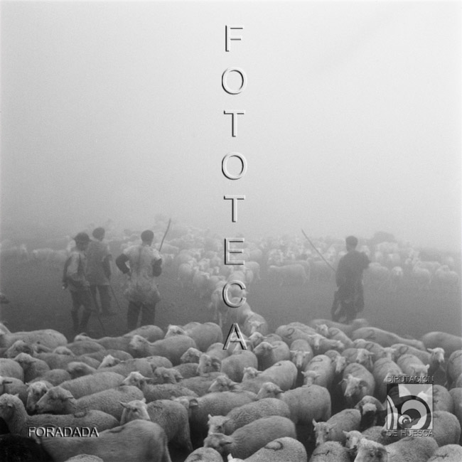 Pastores contando las ovejas del cubilar de Lacherito. Alfonso Foradada Coll. Valle de Ansó