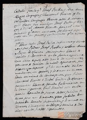 miniatura documento adjunto