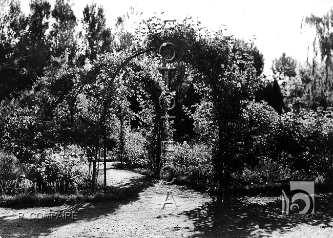 "Parque. La Rosaleda". Ricardo Compairé Escartín. Huesca