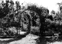 "Parque. La Rosaleda". Ricardo Compairé Escartín. Huesca