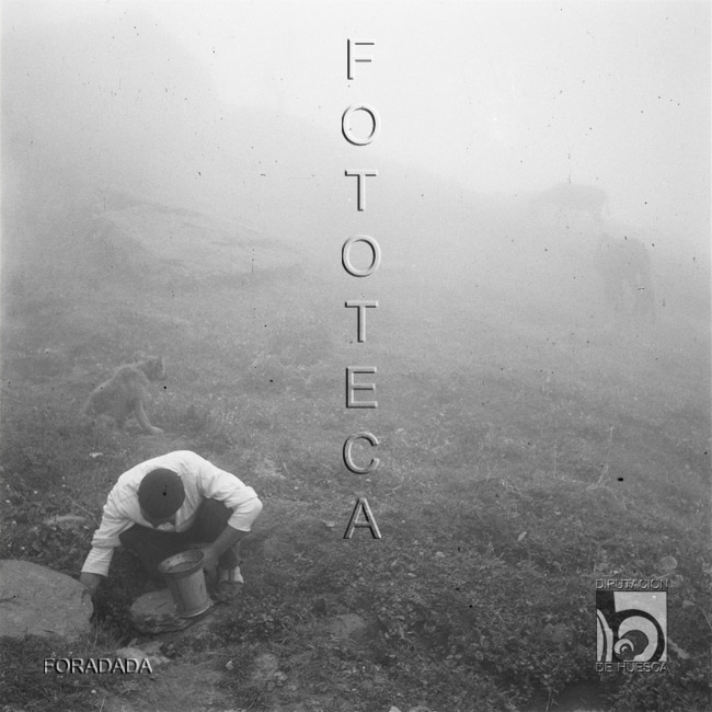 Puyó buscando agua en el cubilar de Lacherito. Alfonso Foradada Coll. Valle de Ansó