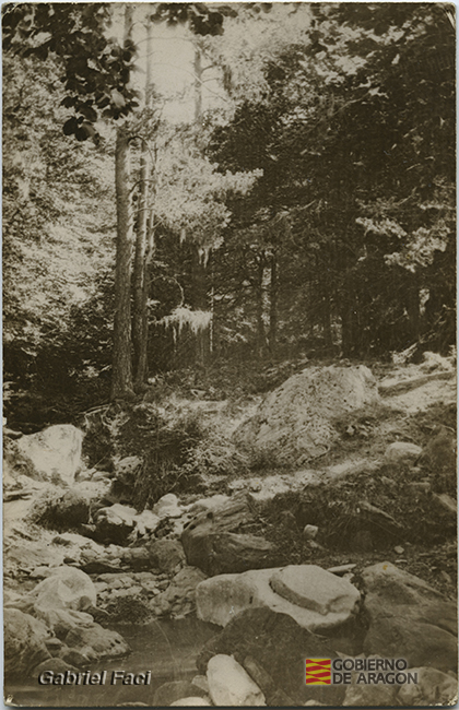 Río a su paso por un bosque. Gabriel Faci Abad